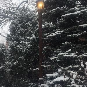 Meet your Posher, Mandy